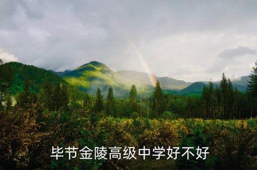  毕节金陵高级中学好不好
