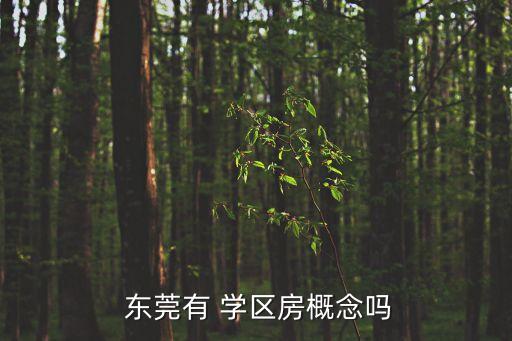 东莞有 学区房概念吗