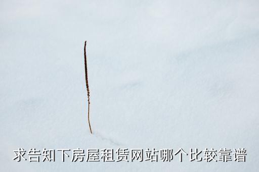 求告知下房屋租赁网站哪个比较靠谱