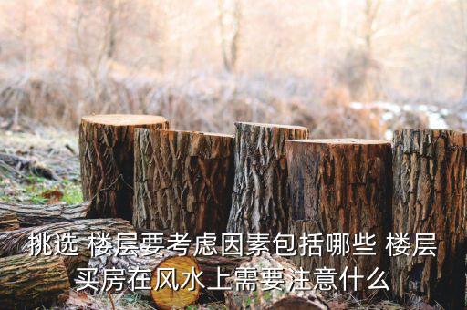 挑选 楼层要考虑因素包括哪些 楼层买房在风水上需要注意什么