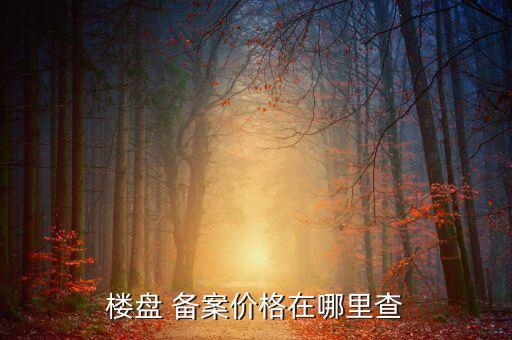 楼盘 备案价格在哪里查