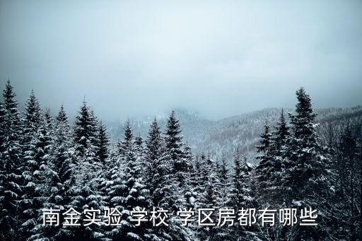 南金实验 学校 学区房都有哪些