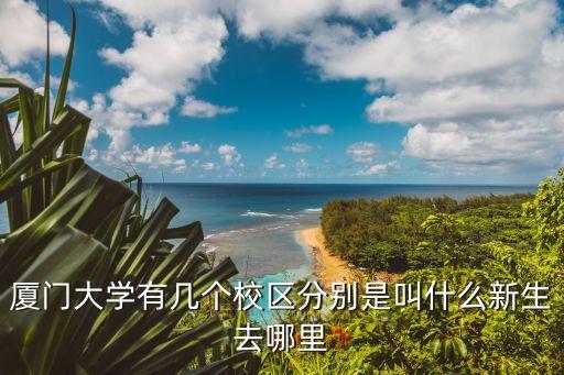 厦门大学有几个校区分别是叫什么新生去哪里