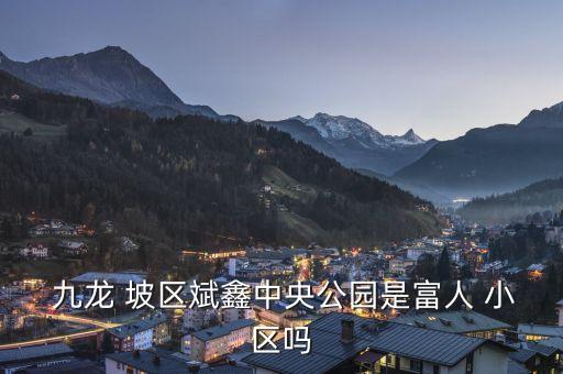  九龙 坡区斌鑫中央公园是富人 小区吗