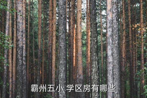 霸州五小 学区房有哪些