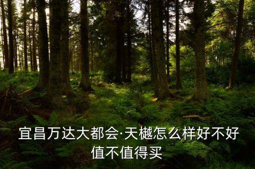  宜昌万达大都会·天樾怎么样好不好值不值得买