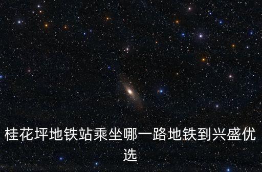 桂花坪地铁站乘坐哪一路地铁到兴盛优选