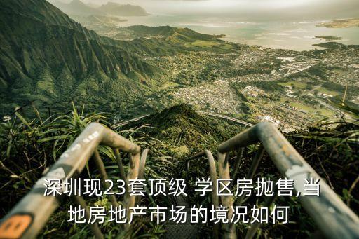  深圳现23套顶级 学区房抛售,当地房地产市场的境况如何