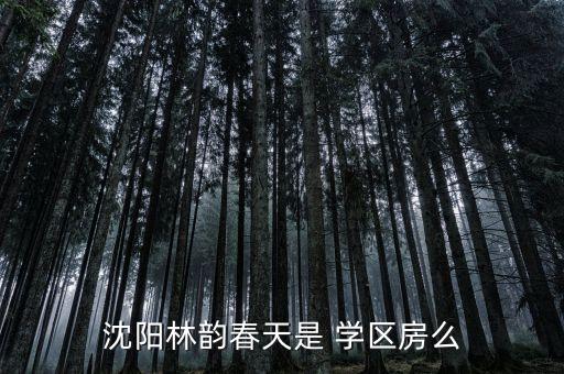 沈阳林韵春天是 学区房么