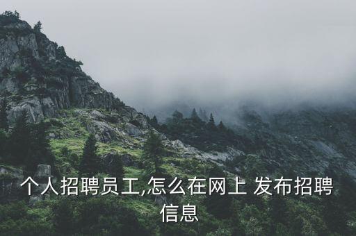 个人招聘员工,怎么在网上 发布招聘 信息