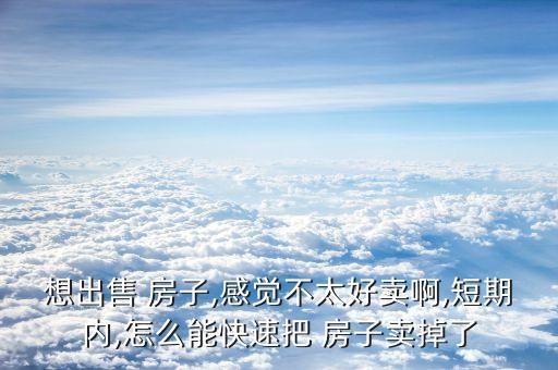 想出售 房子,感觉不太好卖啊,短期内,怎么能快速把 房子卖掉了