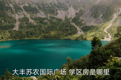  大丰苏农国际广场 学区房是哪里