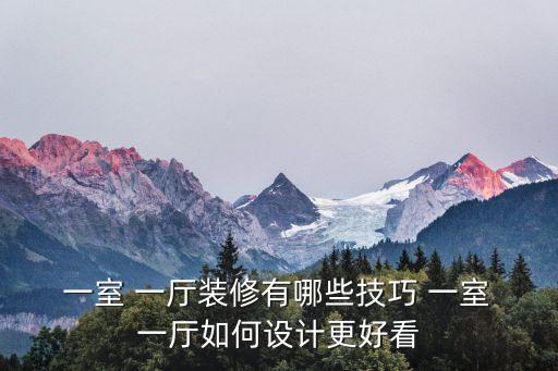  一室 一厅装修有哪些技巧 一室 一厅如何设计更好看
