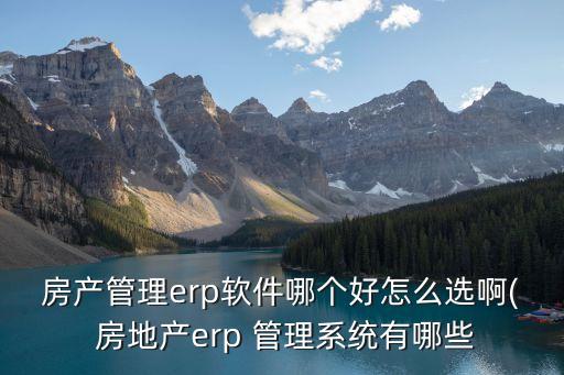 房产管理erp软件哪个好怎么选啊( 房地产erp 管理系统有哪些