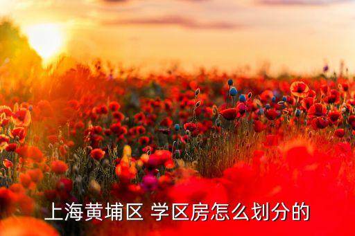 上海黄埔区 学区房怎么划分的
