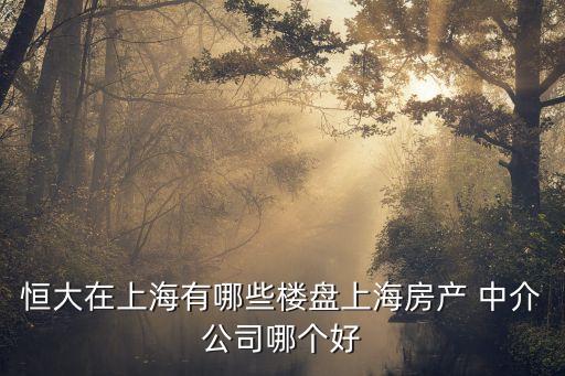 恒大在上海有哪些楼盘上海房产 中介公司哪个好