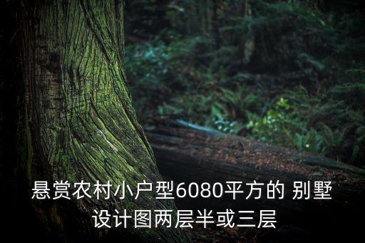 悬赏农村小户型6080平方的 别墅 设计图两层半或三层