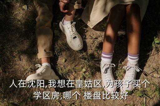 人在沈阳,我想在皇姑区,为孩子买个 学区房,哪个 楼盘比较好