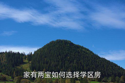 家有两宝如何选择学区房