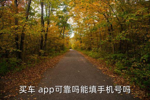 买车 app可靠吗能填手机号吗