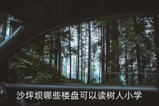 沙坪坝哪些楼盘可以读树人小学