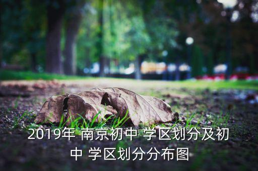 2019年 南京初中 学区划分及初中 学区划分分布图