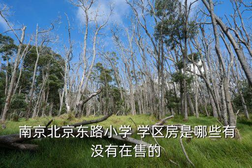 南京48平米学区房多少钱,南京最贵学区房多少钱一平米