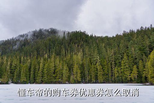  懂车帝的购车券优惠券怎么取消