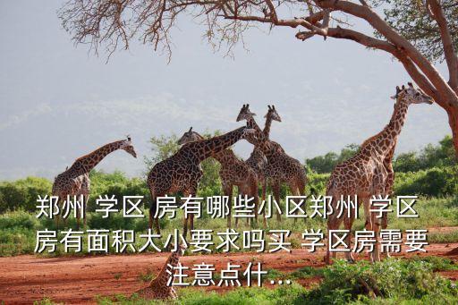 郑州 学区 房有哪些小区郑州 学区 房有面积大小要求吗买 学区房需要注意点什...