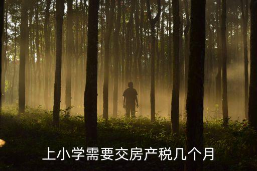 上小学需要交房产税几个月