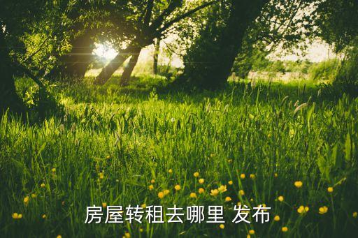 房屋转租去哪里 发布