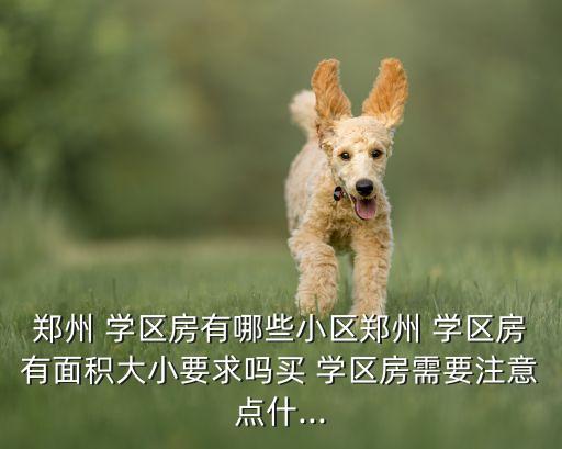 郑州 学区房有哪些小区郑州 学区房有面积大小要求吗买 学区房需要注意点什...