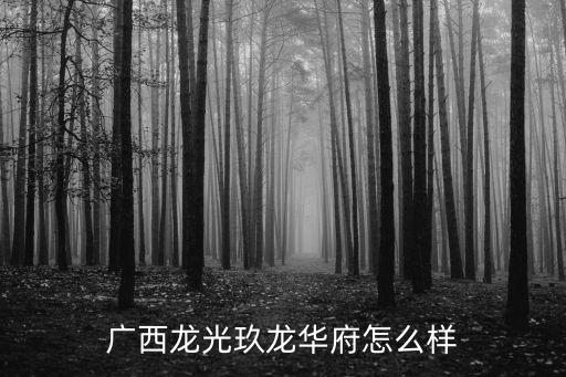 广西龙光玖龙华府怎么样