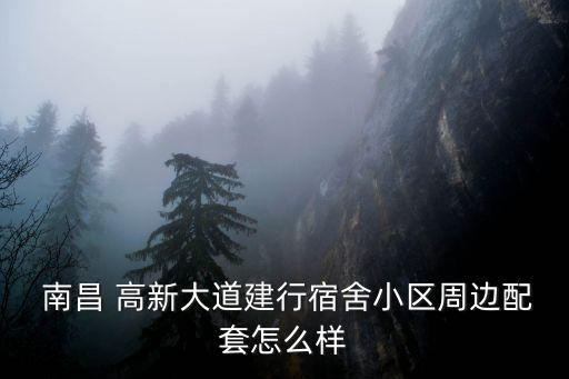  南昌 高新大道建行宿舍小区周边配套怎么样