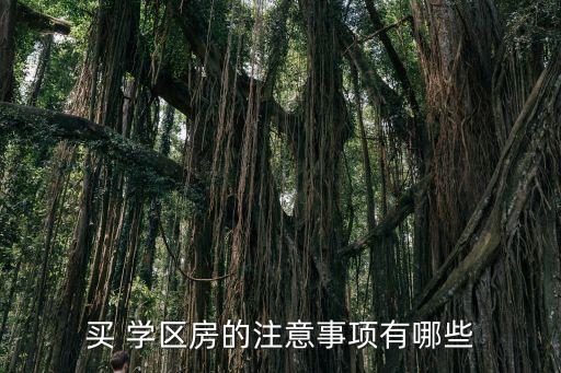 买 学区房的注意事项有哪些