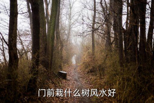 榆树市舒心家园什么学区房,吉林长春榆树市舒心家园价格