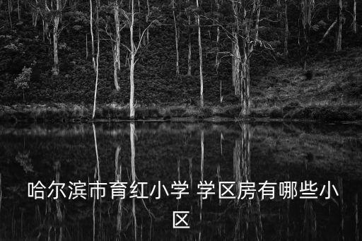  哈尔滨市育红小学 学区房有哪些小区