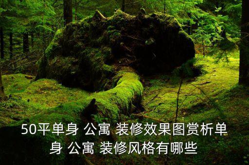 50平单身 公寓 装修效果图赏析单身 公寓 装修风格有哪些
