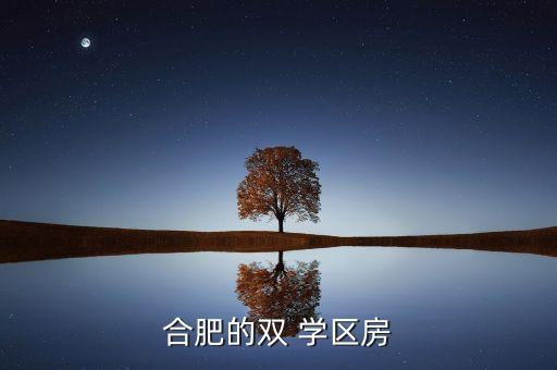 合肥的双 学区房