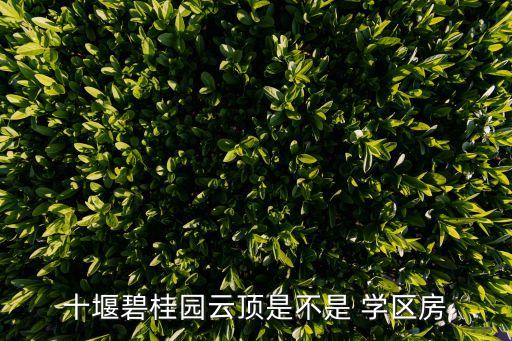 朝阳路的学区房有哪些小区
