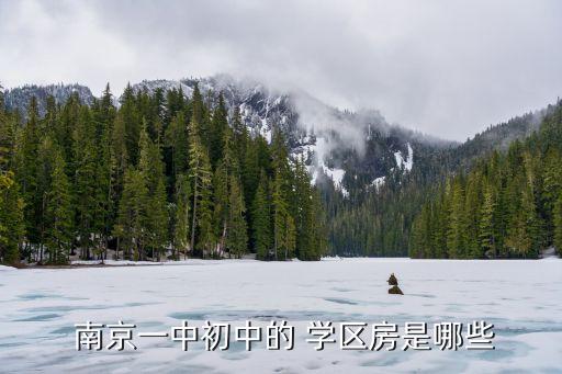  南京一中初中的 学区房是哪些