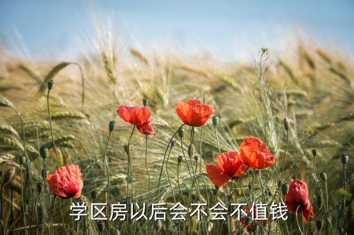  学区房以后会不会不值钱