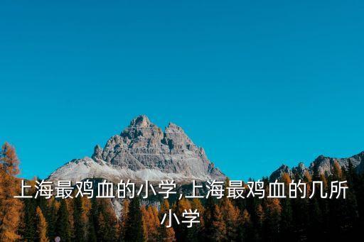 上海最鸡血的小学,上海最鸡血的几所小学