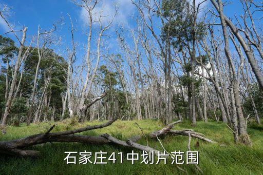石家庄41中划片范围