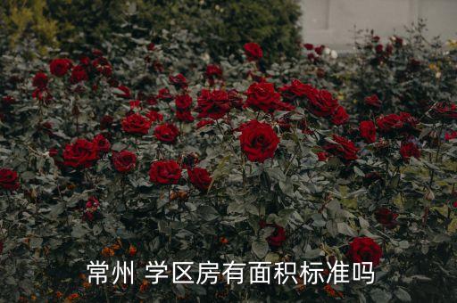  常州 学区房有面积标准吗