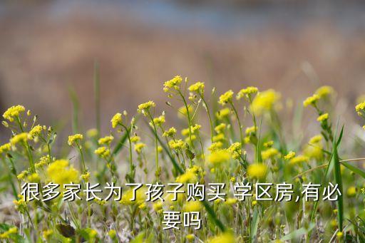 很多家长为了孩子购买 学区房,有必要吗