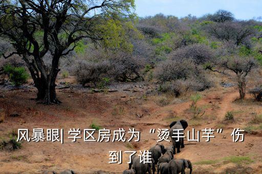 风暴眼| 学区房成为“烫手山芋”伤到了谁