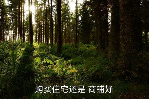 购买住宅还是 商铺好