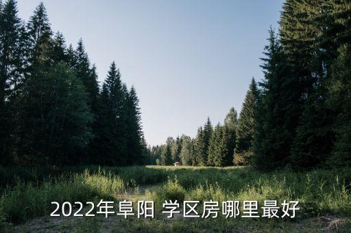 2022年阜阳 学区房哪里最好