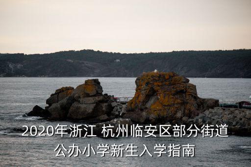 2020年浙江 杭州临安区部分街道公办小学新生入学指南